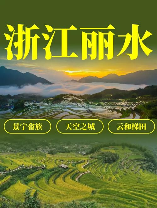 丽水与陕西企业网站建设与网络推广全攻略 从搭建到推广的一站式解决方案